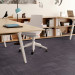 Shaw Diffuse Ecologix® Carpet Tile Seasonal 24" x 24" Premium(48 sq ft/ctn)