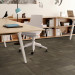 Shaw Diffuse Ecologix® Carpet Tile Nomad 24" x 24" Premium(48 sq ft/ctn) 