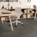 Shaw Diffuse Ecologix® Carpet Tile Climate 24" x 24" Premium(48 sq ft/ctn)