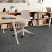 Shaw Companion Carpet Tile Alike 24" x 24" Premium(80 sq ft/ctn)