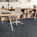 Shaw Companion Carpet Tile Duo 24" x 24" Premium(80 sq ft/ctn)