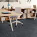 Shaw Partner Carpet Tile Duo 24" x 24" Premium(80 sq ft/ctn) 