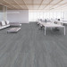 Shaw Above Carpet Tile Quiet  9" x 36"Premium - Office Scene