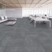 Shaw Balcony Carpet Tile Quiet 24" x 24" Premium - Office Scene