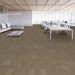 Shaw Diffuse Carpet Tile Annual 9" x 36" Premium - Room Scene