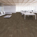 Shaw Diffuse Carpet Tile Nomad 9" x 36" Premium - Room Scene