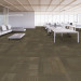Shaw Diffuse Ecologix® Es Carpet Tile Voyage Premium - Room Scene