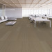 Shaw Disperse Carpet Tile Annual 9" x 36" Premium - Room Scene