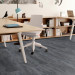 Shaw Habitat Carpet Tile Calm 9" x 36" Premium - Small Office Scene