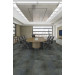 Shaw Instinct Carpet Tile Mountain Shadow Office Scene