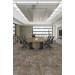 Shaw Relic Carpet Tile Earth Hue Office Scene