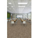 Shaw Ripple Effect Carpet Tile Compound Interest Class Room Scene