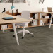 Shaw Contract Legitimate Carpet Tile Sierra 24" x 24" Premium(80 sq ft/ctn)