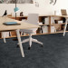 Shaw Source Carpet Tile Calm 9" x 36" Premium - Small Office Scene