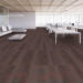 Shaw Source Carpet Tile Coral 9" x 36" Premium - Office Scene