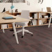 Shaw Source Carpet Tile Coral 9" x 36" Premium - Small Office Scene