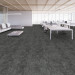 Shaw Source Carpet Tile Fragile 9" x 36" Premium - Office Scene