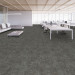 Shaw Source Carpet Tile Mountain 9" x 36" Premium - Office Scene
