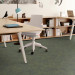Shaw Source Carpet Tile Nature 9" x 36" Premium - Small Office Scene
