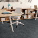 Shaw Source Carpet Tile Untamed 9" x 36"Premium - Small Office Scene