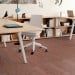 Shaw Suspend Carpet Tile Flora 9" x 36" Premium - Small Office Scene
