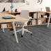 Shaw Suspend Carpet Tile Path 9" x 36" Premium - Small Office Scene