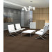 Philadelphia Commercial Color Accents Carpet Tile Suede 24" x 24" Premium