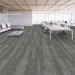 Shaw Tinge Carpet Tile Tarnished Alum 9" x 36" Premium - Office Scene