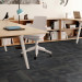 Shaw Tempt Carpet Tile Taunt 24" x 24" Premium - Small Office Scene