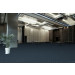Pentz Techtonic Carpet Tile Bios - Conference Hall Scene
