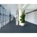 Pentz Techtonic Carpet Tile Bios - Hallway Scene
