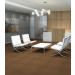 Philadelphia Commercial Color Accents Carpet Tile Tobacco 24" x 24" Premium