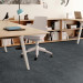 Shaw Boundless Carpet Tile Untamed 9" x 36" Premium - Small Office Scene