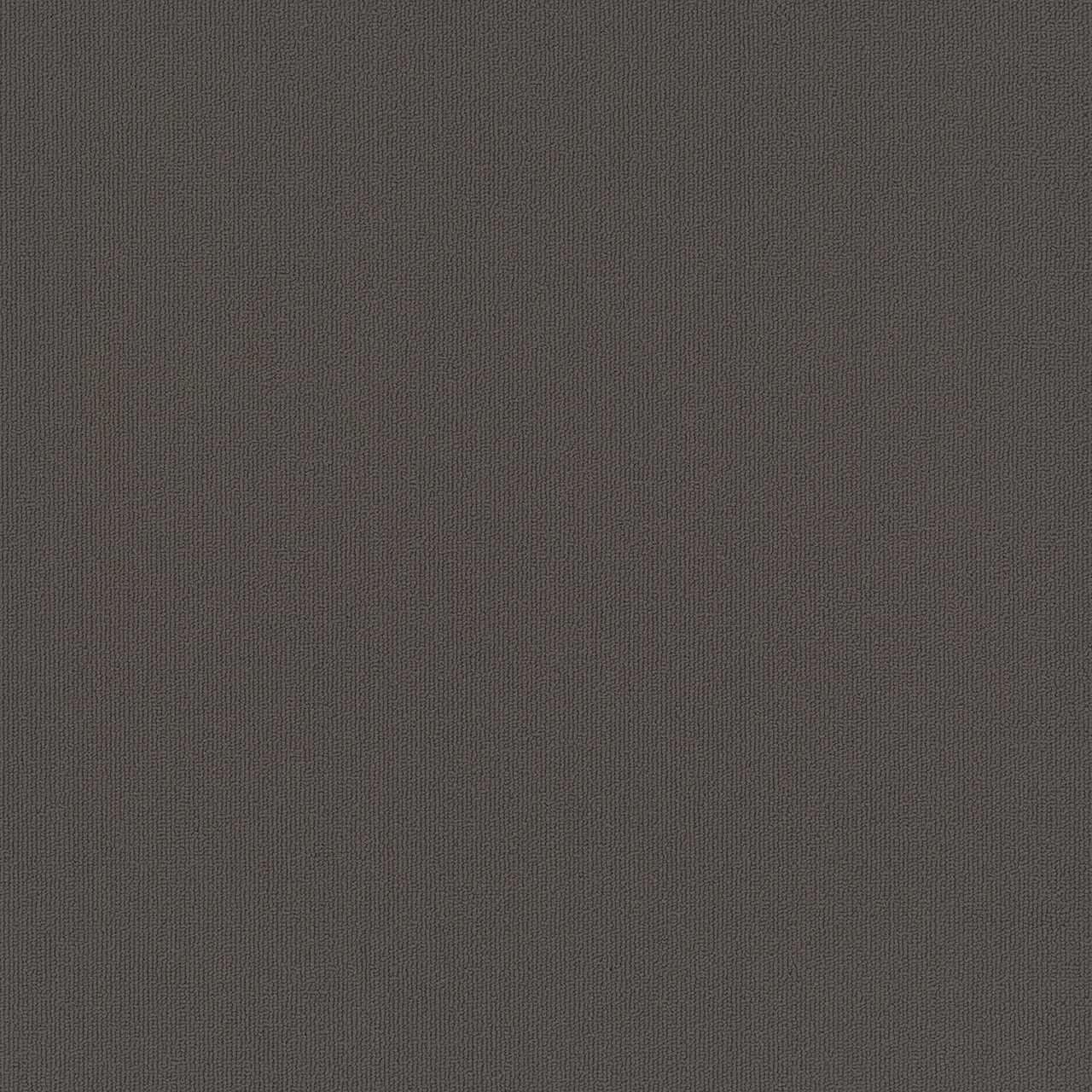 Colorcore 20059 EF Contract ColorCore Carpet Tile Carob 24