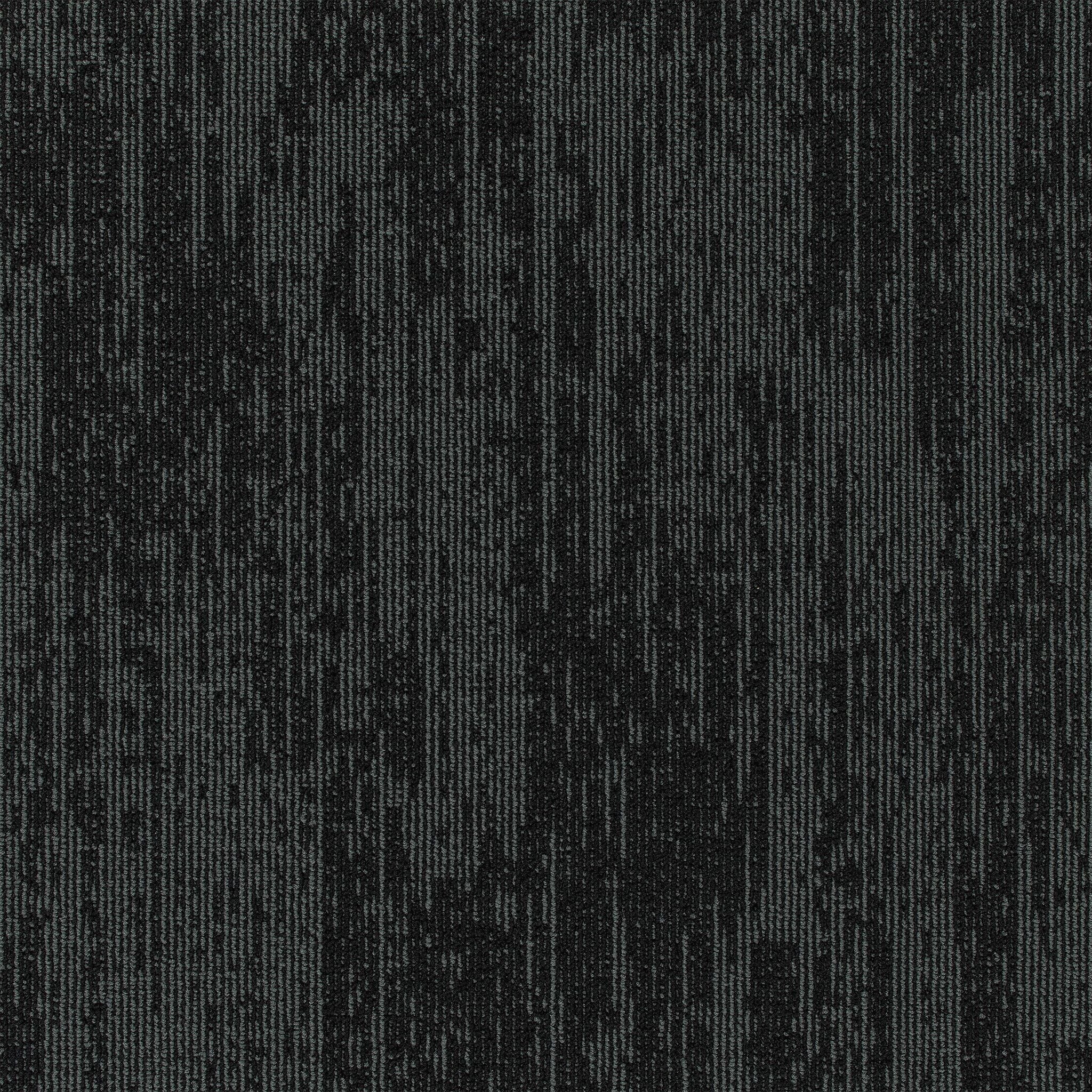 Pentz Podcast Carpet Tile Hosting 24
