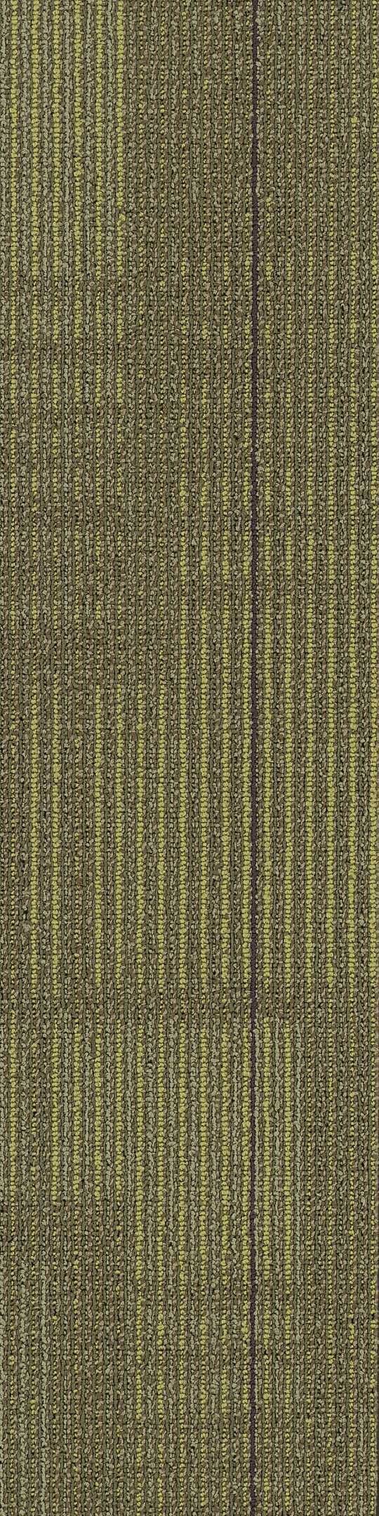 Shaw Diffuse Carpet Tile Formations 9