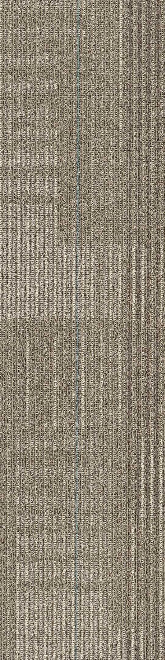 Shaw Diffuse Carpet Tile Road Trip 9